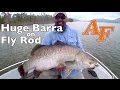 Big Barramundi on Fly, Peter Faust Dam, Proserpine Whitsundays.
