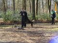 Politiehond: vluchten (fiets en dan te voet) Politiehond: vluchten (fiets en dan te voet)
