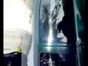 Gonzalito de CQC PARTE 2