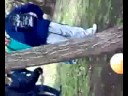 Gonzalito de CQC PARTE 2