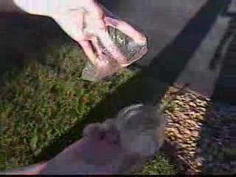 Baking Soda and Vinegar Rockets Edited