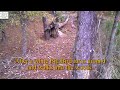 Uncle Steve Sees Big Bird Poop In The Woods