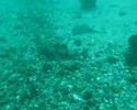 Shellharbour 06-10-2007