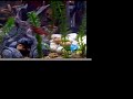 Cherry Barbs laying eggs