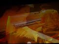 muse-feeling good