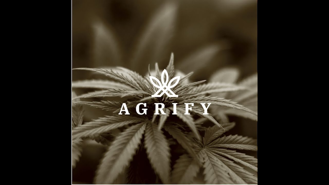 A Deep Dive into Vertical Farming and its Global Impact Securities.io