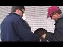 this is a doc i made for a class at the 2008 downtown gadsden chili cook-off.