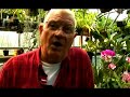 How to Grow Orchids: Breeding and Dealing : How to Buy Orchids How to Grow Orchids: Breeding and Dealing : How to Buy Orchids