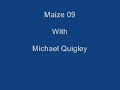 Maize In Co.Kildare Ireland with Michael Quigley