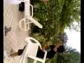 videos de bagno santo (sarteano) parte 1