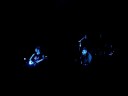 Tegan & Sara (1/7)