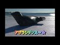 ある港で、ゼニガタアザラ�...