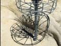 Disc Golf SW Vacation Slideshow