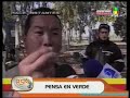 Furor por los loros en la TV Furor por los loros en la TV