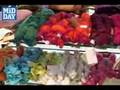 videos de Inauguration of SEWA Hansiba at Mumbai