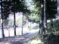 MTB DISCESA DOWNHILL SAN BENEDETTO MAROSTICA
