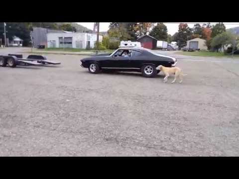 how to get more work done