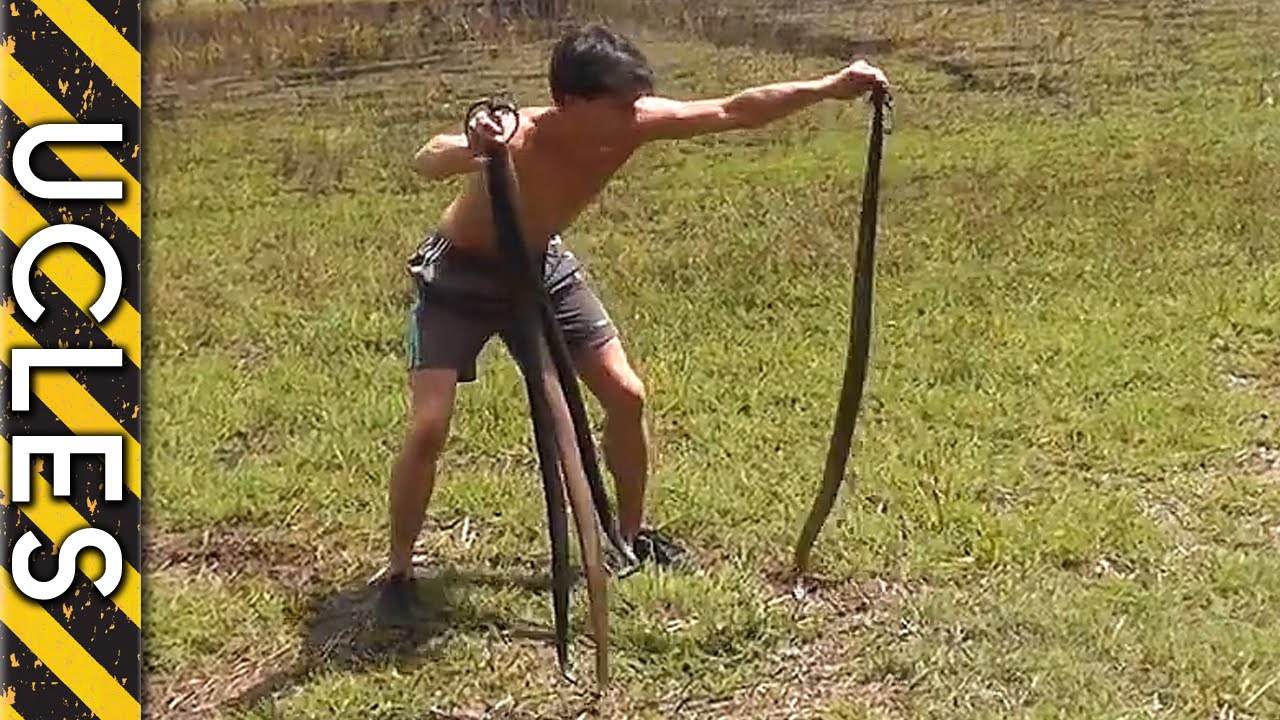Andrew Ucles Catches a Rabbit Using Snakes Strong Catholic Dad