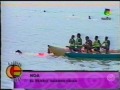 eacsa   perros salvavidas