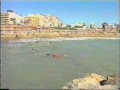 eacsa   perros salvavidas