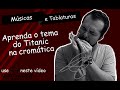 Tema Titanic na Gaita Cromatica (gaita cromatica 02)