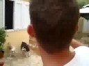 CARAPAPA