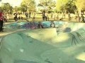 shred for shane, melbounre