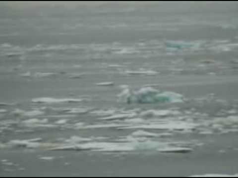 Shelly and Arfur sail to the ...