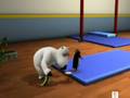 El oso Berni - 1x36 - Gimnasia artistica