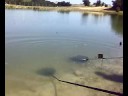 società pesca sportiva \"I BRACCONIERI\" società pesca sportiva \"I BRACCONIERI\"
