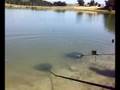 società pesca sportiva I BRACCONIERI