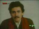 d'alema 1977