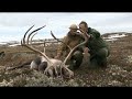 Reinsdyrjakt av Kristoffer Clausen