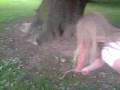 videos de squirell poke