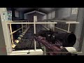 Click here to watch this video dead center -.- (Read Description)