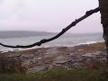 Hornby Island Herring Spawn 2007
