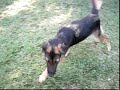 Mayah-minha linda-LueDi