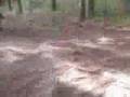 Lotus Trails