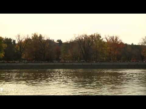 Eagle Release - Starved Rock State Park, IL