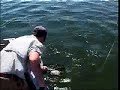 Realeasing Fish Safely Realeasing Fish Safely