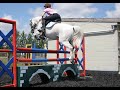 Grace Lidster BSJA Showjumper
