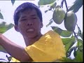 Mangga Mangga