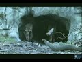 Neanderthals 14/18