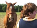 donkey singing to owen donkey singing to owen