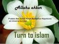 Turntoislam-Brother Mutah Beale
