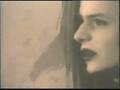 videos de schakal