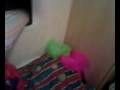 videos de Sophie Jumping out a window :))