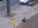 mec bour� en op�ra
