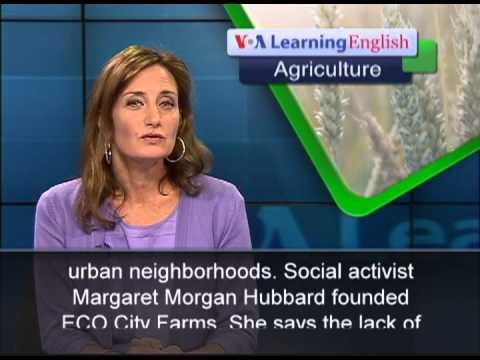 Turning Unused City Lots Into Farms