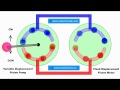 Closed Loop Hydraulic Transmission